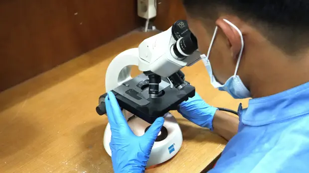 Microscope work at Arirang Dental Clinic, Kuningan Jakarta